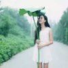 落雨的秋的头像