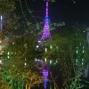 梦想海阔天空的头像