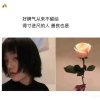 爱恨随意的头像