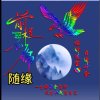 豪晴随缘的头像