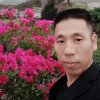 浪子情缘的头像