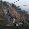 云山雾罩的头像