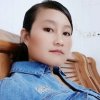 孤独的小鸟的头像