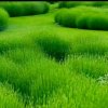 余生不打扰的头像