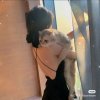 霖尤儿卖号的头像