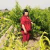 静夜思的头像