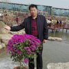 富裕平安的头像