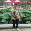 郁金香的头像