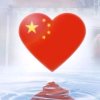 玉兔东升的头像