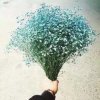 595的头像