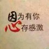 jln的头像