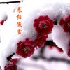 梅朵的头像