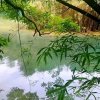 星辰  （暂退）的头像