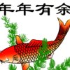 年年有鱼的头像