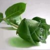 雨(暂离)的头像