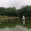 开心就好的头像