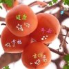 qinShengylJju的头像