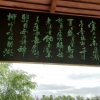 ♛逆风♛的头像