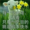 ❀⚘林场强哥༵⚘❀的头像