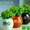 简单点就好的头像
