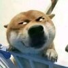 以后的头像
