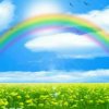 雨后的彩虹的头像