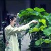 时光让我不回头的头像