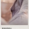 灿烂的春天的头像