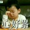 心雨的头像
