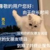 兰心玫瑰的头像