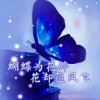  客家因姐 的头像