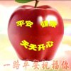 甜苹果的头像