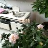 苍狼的头像