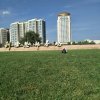 中国华北地区，红权品牌，调料总经销的头像