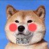 东妈西咪的头像
