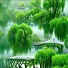 一切随缘的头像