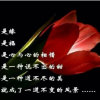 圣世年轮的头像