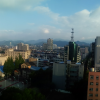 无忧无虑的头像