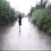 心雨的头像