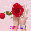 英子的头像