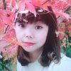 琴音书韵的头像