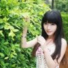 梦兰的头像