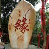 今生缘的头像