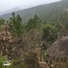小兔的头像