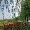 98减10斤，减肥，美容，理疗，18992093663的头像