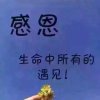 无聊的头像