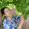 涛涛的头像