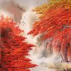 香山红叶的头像