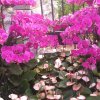 下洼建材门市部15839993499的头像