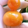 阳光的头像